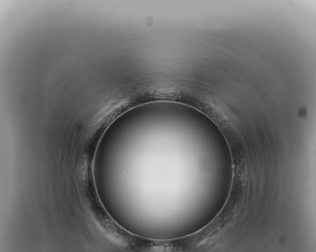 X0000090780744200707271549