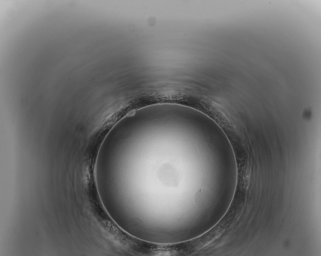 X0000090780746200707271549