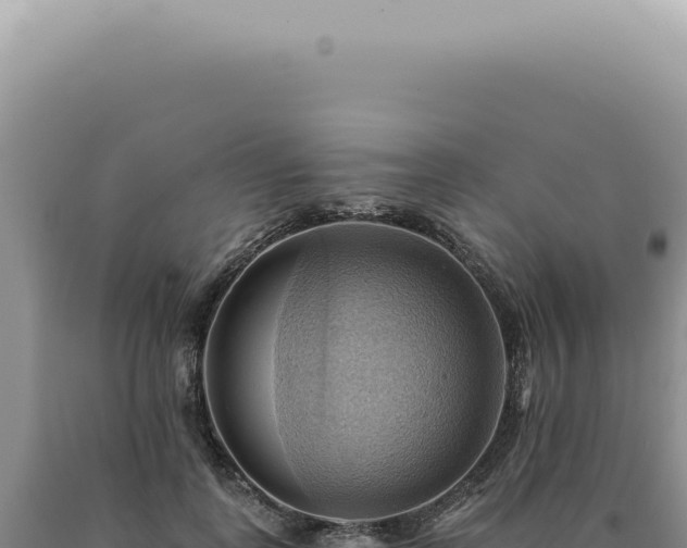 X0000090780747200707271549