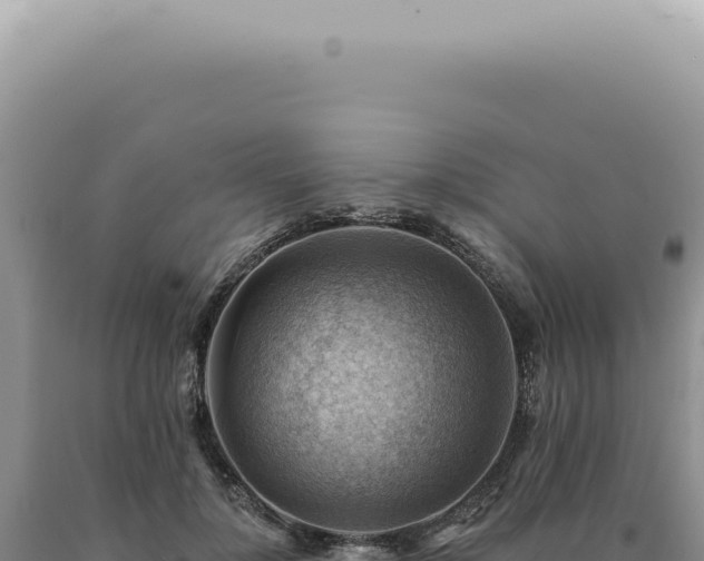 X0000090780748200707271549