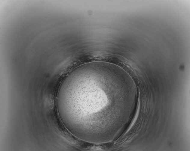X0000090780751200707271549