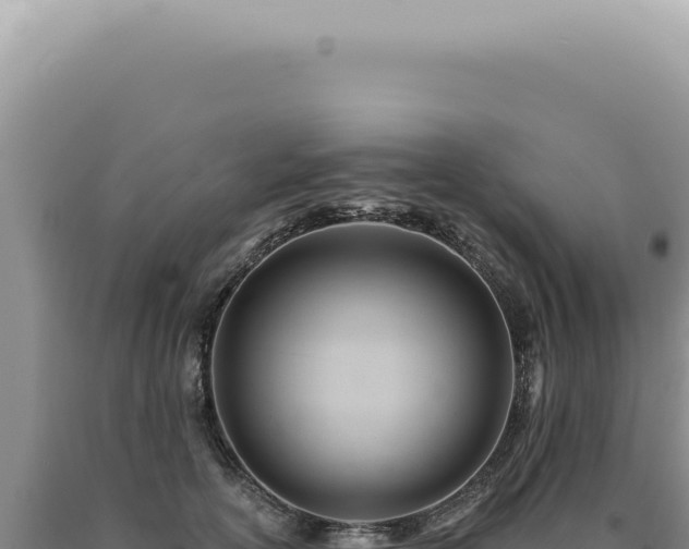 X0000090780754200707271549