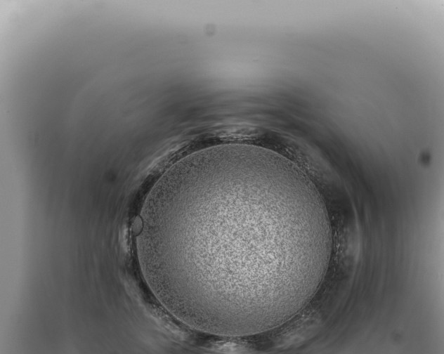 X0000090780755200707271549