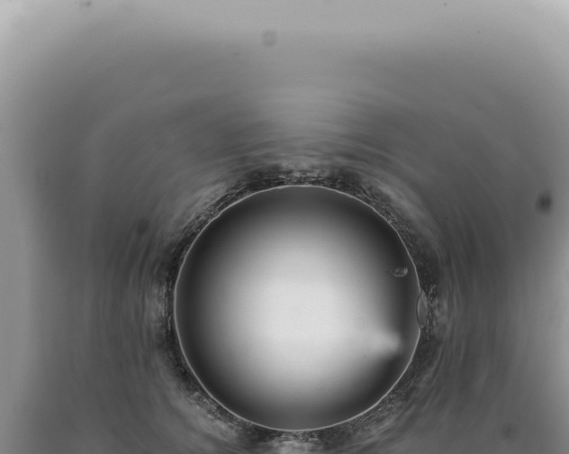 X0000090780756200707271549