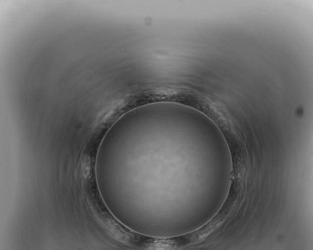 X0000090780758200707271549