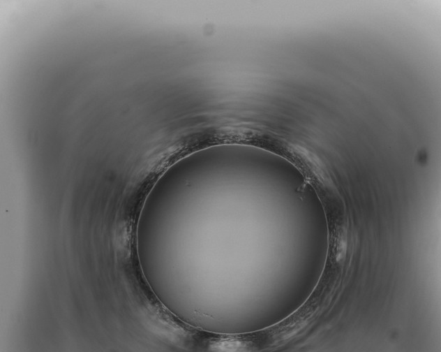 X0000090780759200707271549
