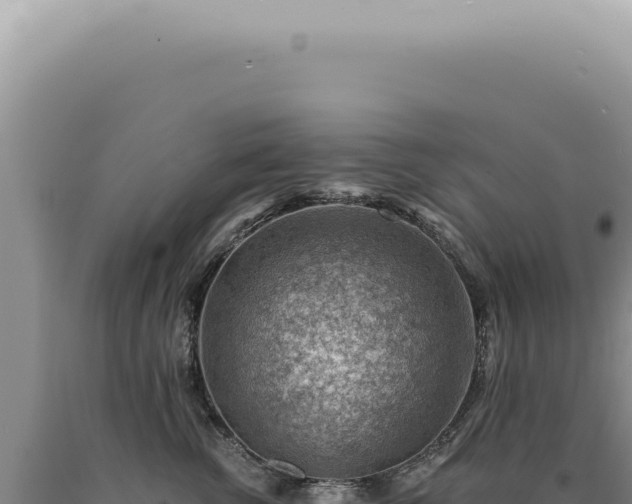 X0000090780762200707271549