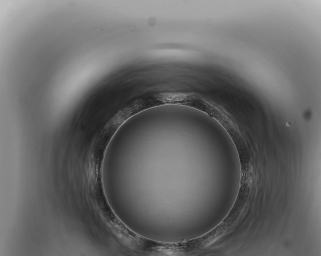 X0000090780763200707271549