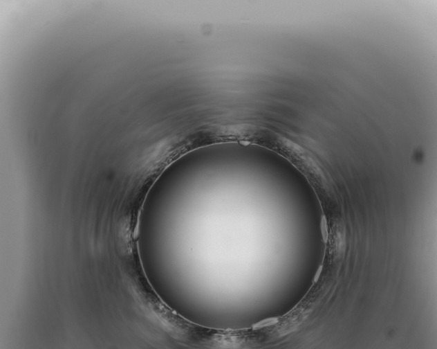 X0000090780764200707271549