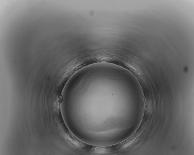 X0000090780766200707271549