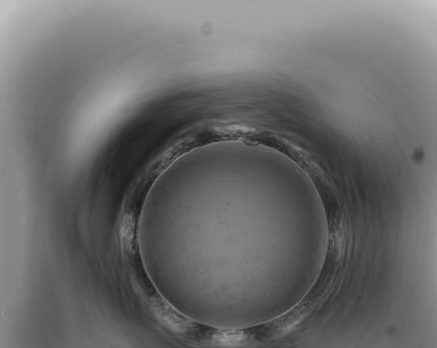 X0000090780767200707271549