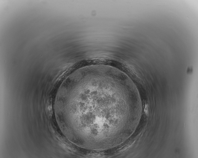 X0000090780771200707271548