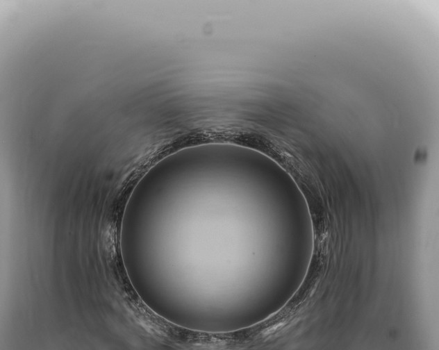 X0000090780772200707271548