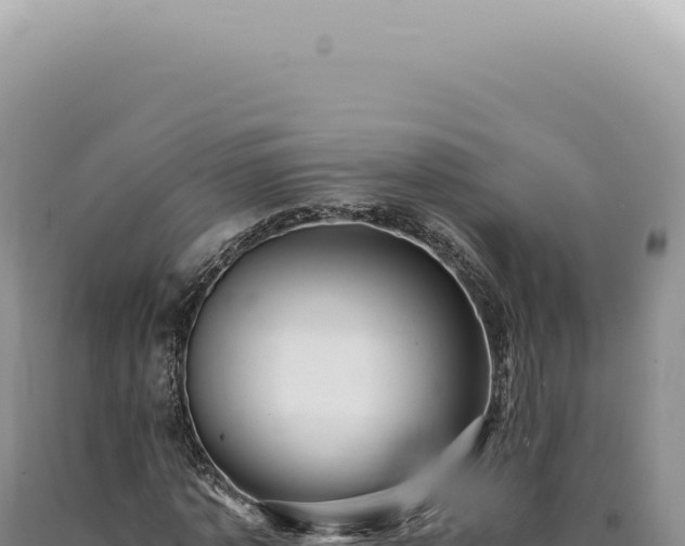 X0000090780773200707271548