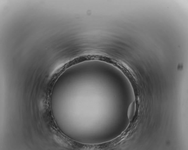 X0000090780775200707271548