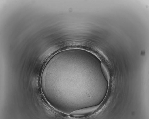 X0000090780777200707271548