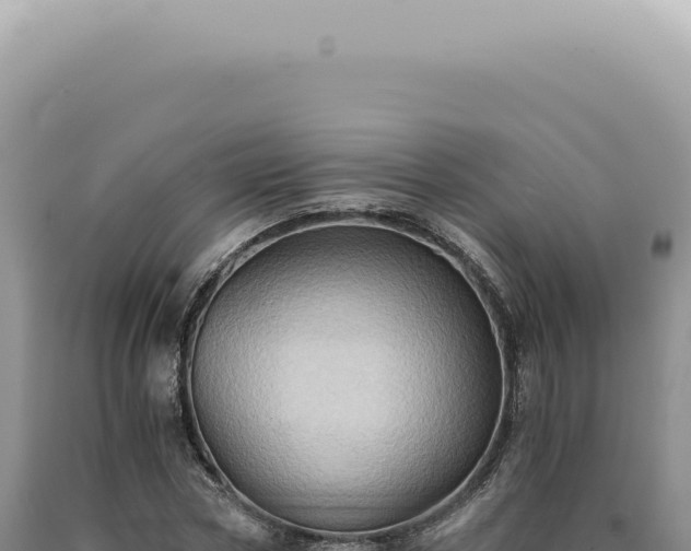 X0000090780778200707271548