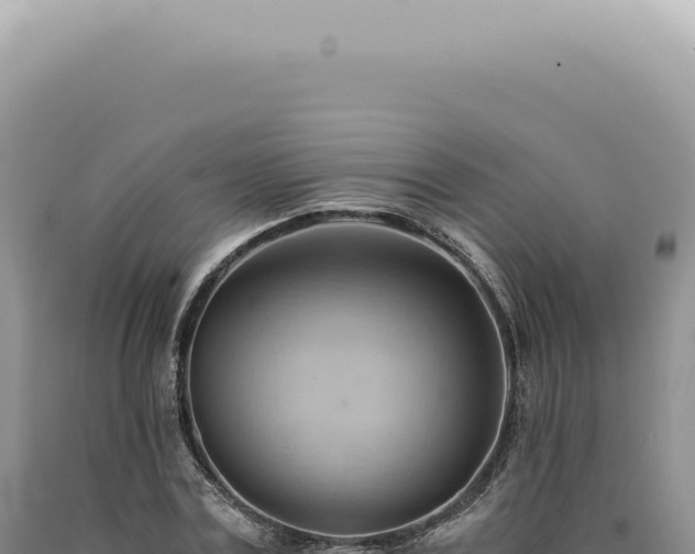 X0000090780779200707271548