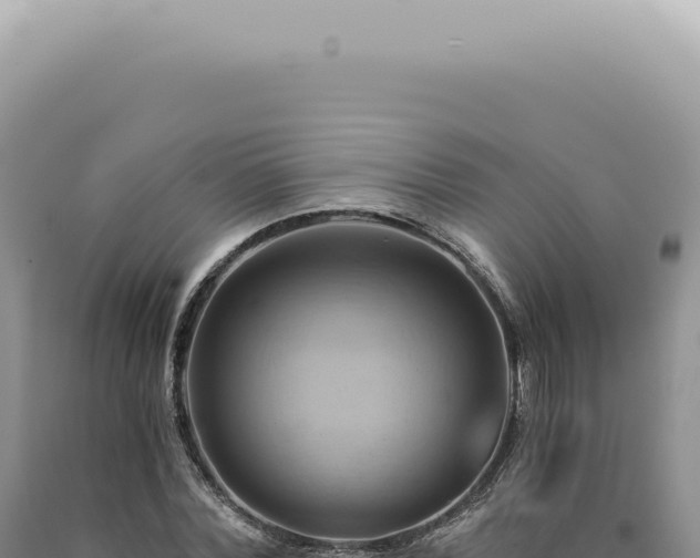 X0000090780780200707271548