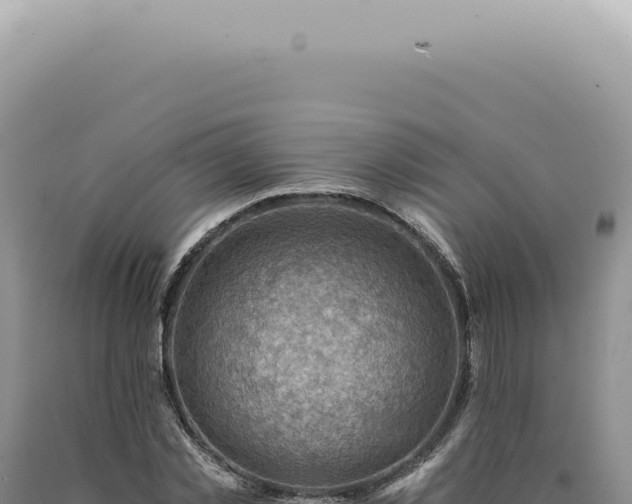 X0000090780781200707271548