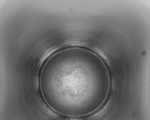 X0000090780782200707271548