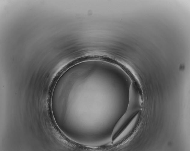 X0000090780783200707271548