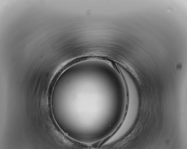 X0000090780784200707271548