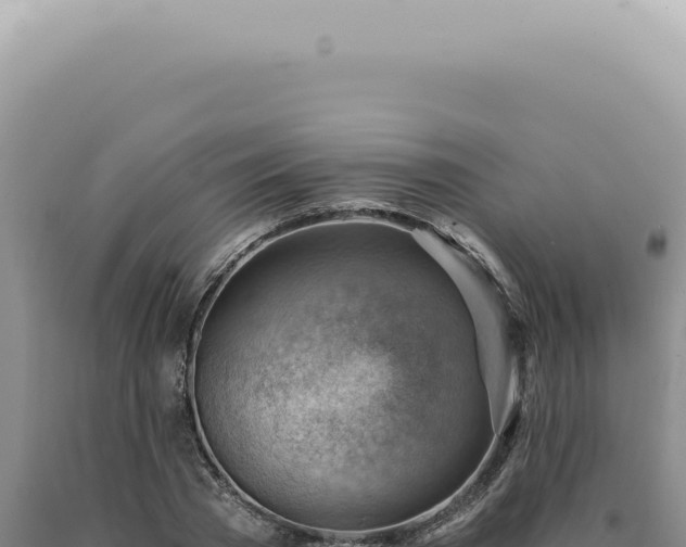X0000090780785200707271548