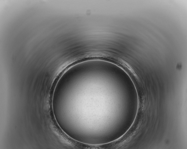 X0000090780786200707271548