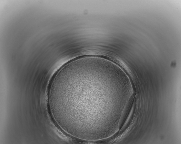 X0000090780787200707271548
