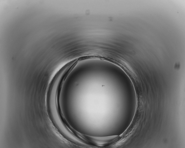 X0000090780788200707271548