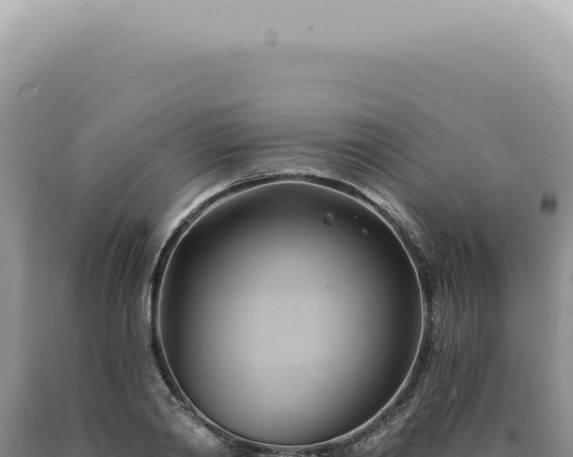 X0000090780790200707271548