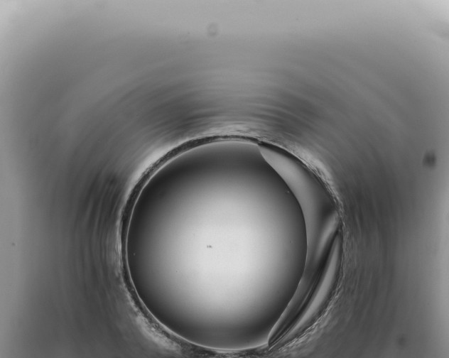 X0000090780792200707271548