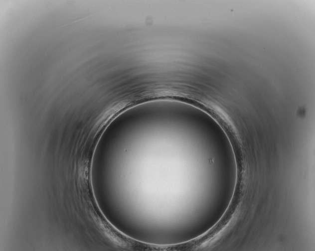 X0000090780793200707271548