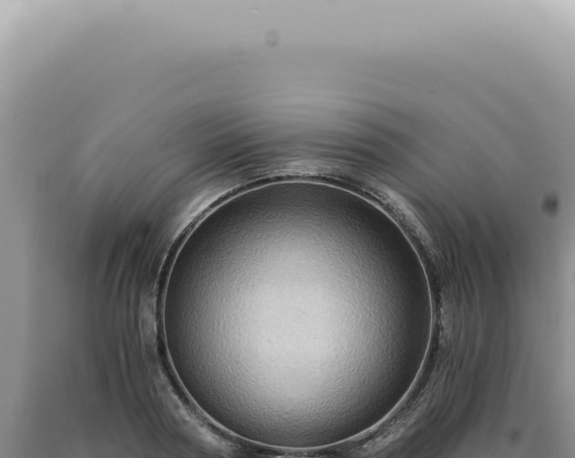 X0000090780794200707271548