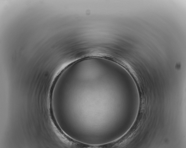 X0000090780795200707271548