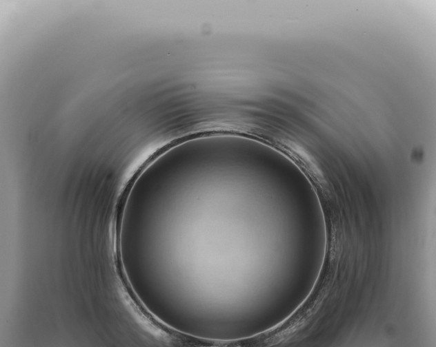 X0000090780796200707271548