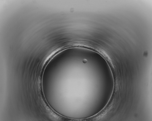 X0000090780798200707271548