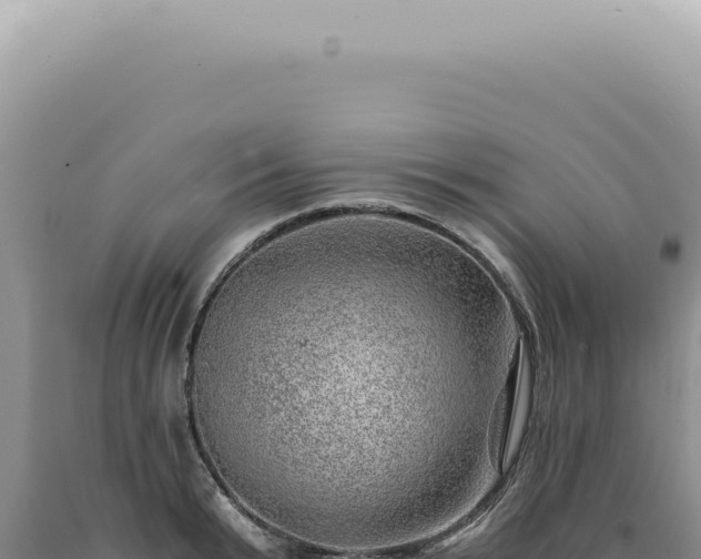 X0000090780799200707271548