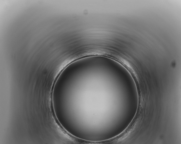 X0000090780802200707271548