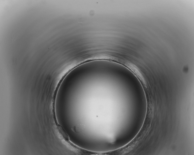 X0000090780805200707271548