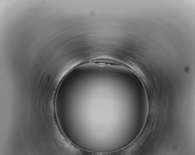 X0000090780806200707271548