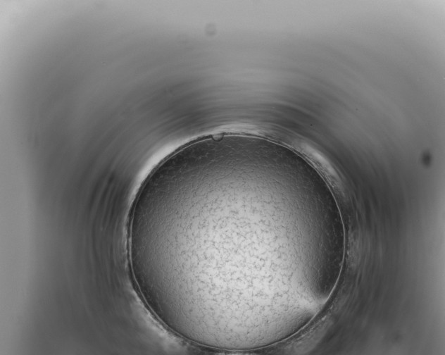 X0000090780808200707271548
