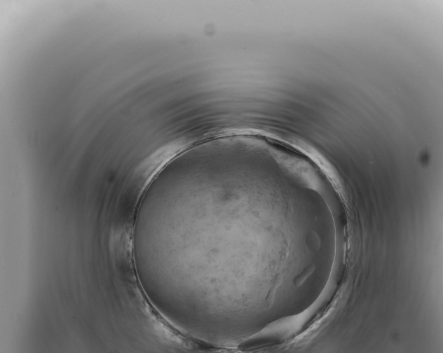 X0000090780809200707271548