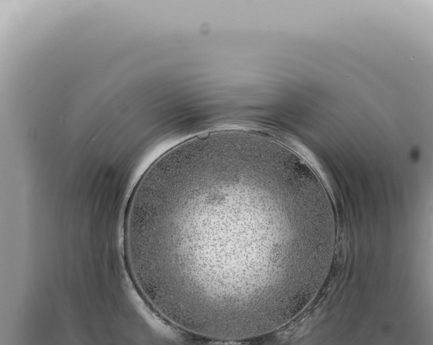 X0000090780811200707271548
