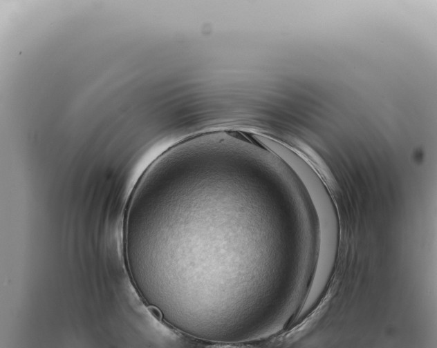 X0000090780812200707271548