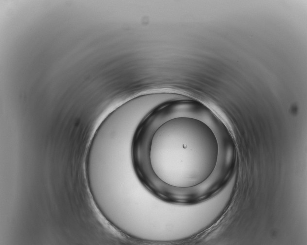 X0000090780813200707271548