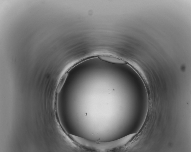 X0000090780815200707271548
