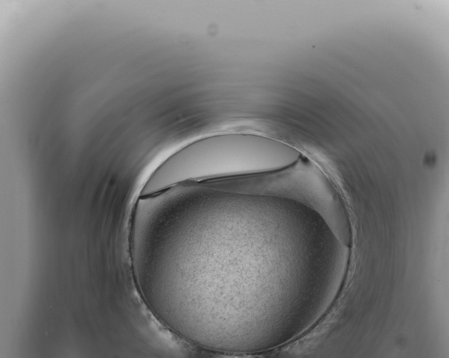 X0000090780816200707271548