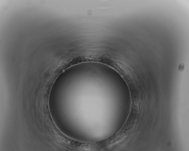 X0000090780817200707271547